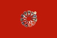 安阳市殷都回收红酒